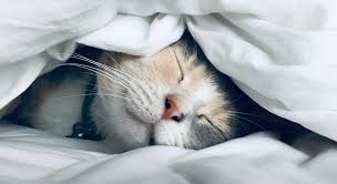 Découvrez le pouvoir des pierres semi-précieuses pour améliorer votre sommeil.