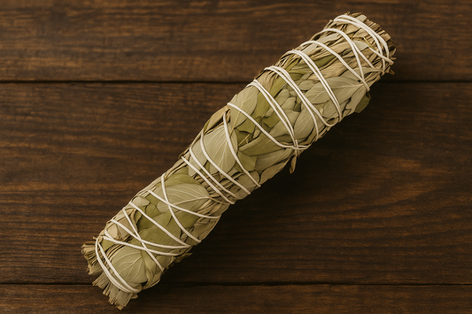 Sauge Brésilienne Guarani